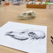 Load image into Gallery viewer, Fall Drawing &amp; Painting for Adults &amp; Teens-Mondays, 3:30-5:00pm

