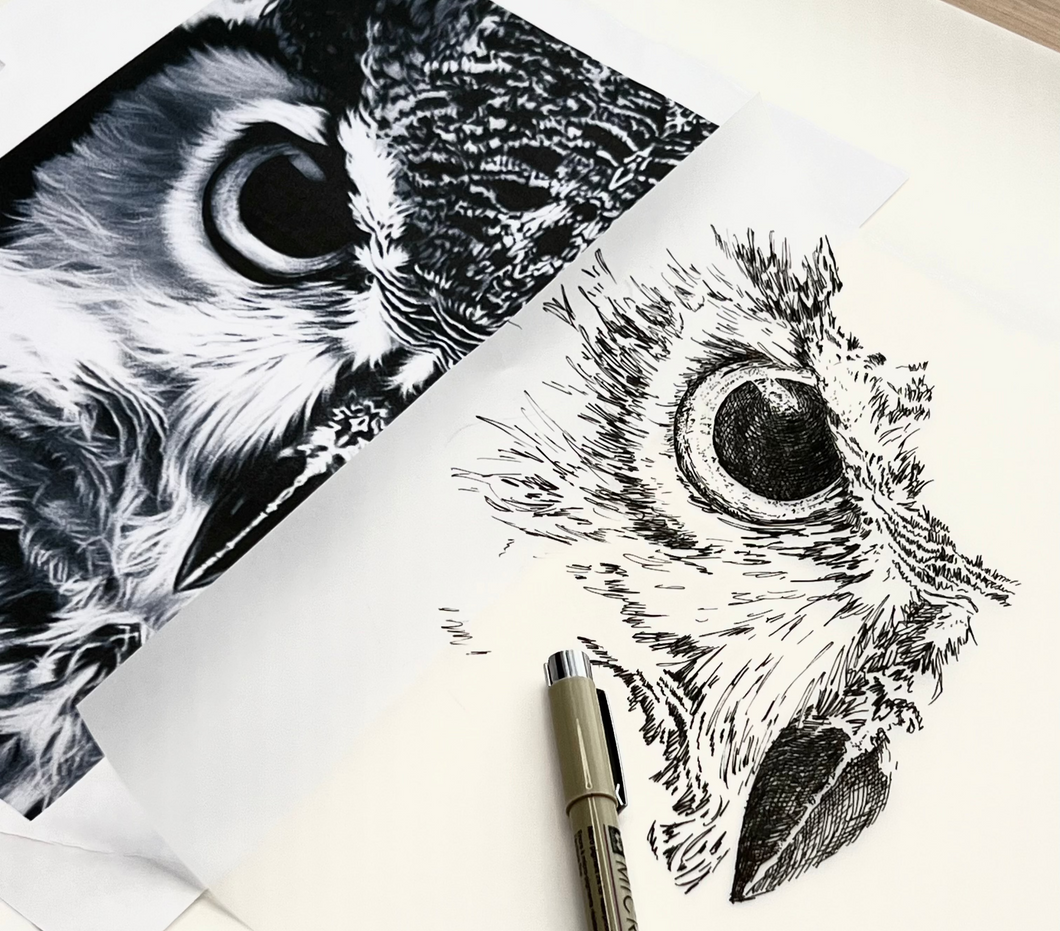 Pen & Ink & Scratchboard Workshop