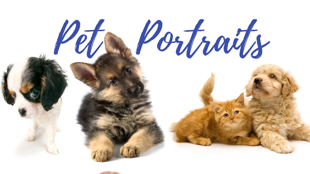 Pet Portraits Camp-Summer 2024